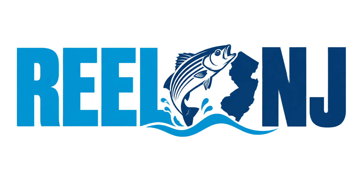 REELNJ